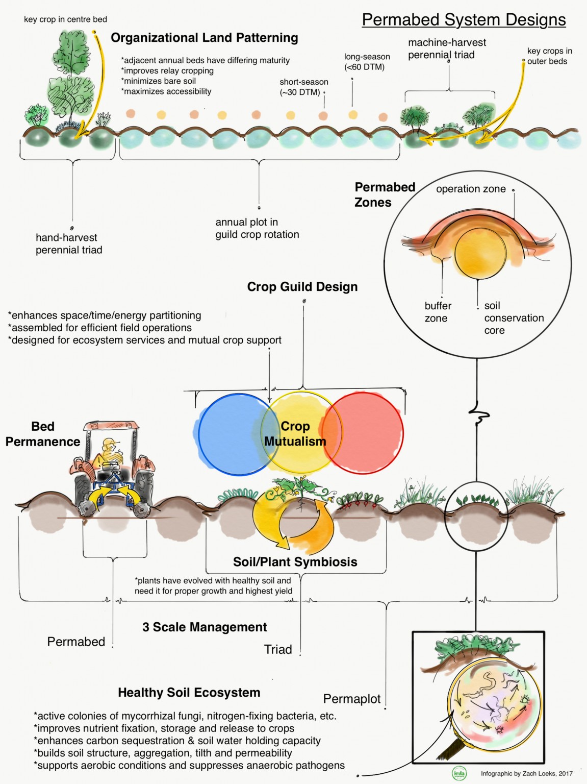 transitioning-to-a-permaculture-market-garden